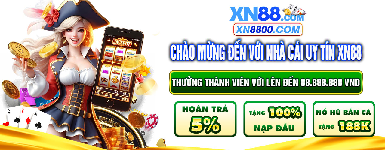baner-xn88